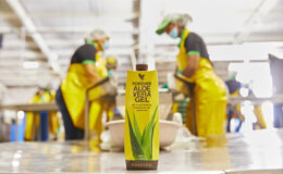 bienfaits de l'aloe vera en hiver