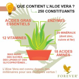 aloe vera à usage interne