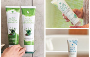 5 façons de se soigner avec l'aloe vera face au froid