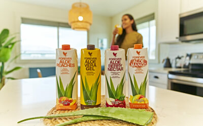 soigner aloe vera froid